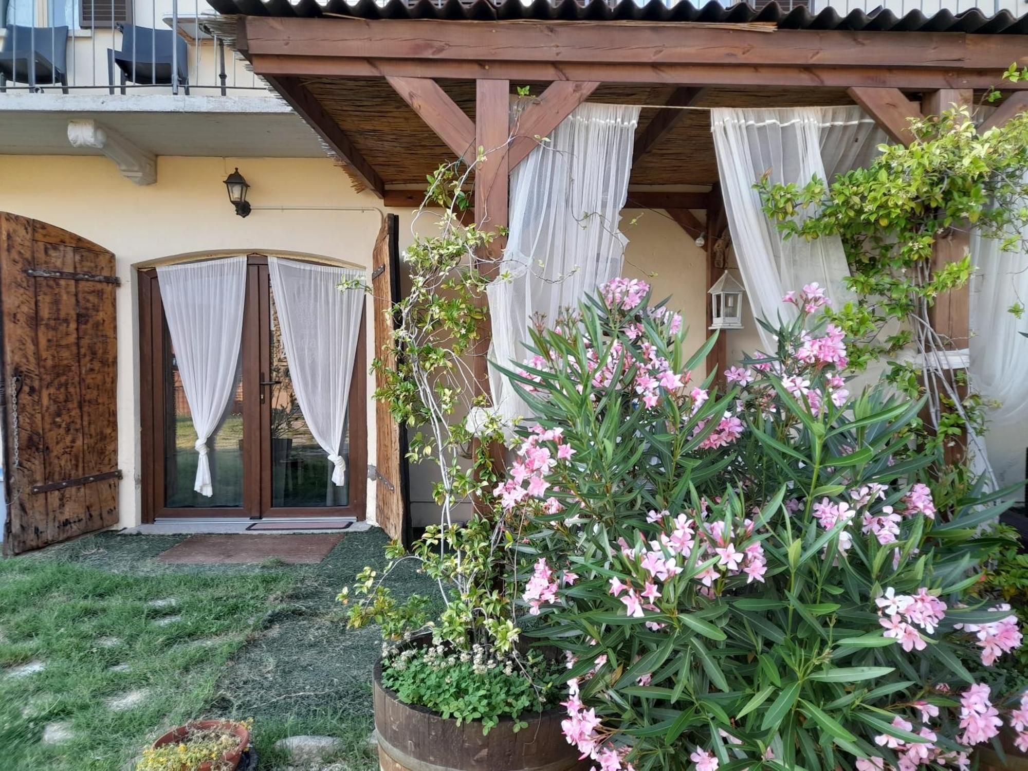 Madama Langa Country House Con Piscina Nelle Vigne Montelupo Albese Ngoại thất bức ảnh